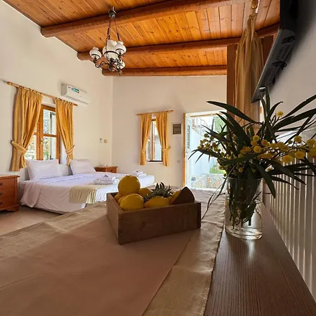 Villa Stone Heaven Apartment-poolside Bbq & Fresh Herbs Neapoli (Crete)